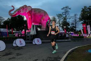 BIB: 
                            <button type="button" onclick="openModal(26529684)" class="btn btn-primary btn-sm float-right btn-popup" data-toggle="modal" data-target=".modal-high-quality">
                        <i class="fas fa-shopping-cart"></i> Add to Cart
                    </button>
                                            <button type="button" onclick="isThisMe(26529684, true)" class="btn btn-success btn-sm float-right btn-popup btn-isme hidden" data-toggle="tooltip" data-placement="bottom" title="นี่คือรูปของคุณใช่ไหม คลิกที่นี่เพื่อเอาเข้าอัลบั้ม">
                        <i class="fas fa-plus"></i> Add to album
                    </button>
                    <button type="button" onclick="isThisMe(26529684, false)" class="btn btn-warning btn-sm float-right btn-popup btn-isnotme hidden">
                        <i class="fas fa-ban"></i> Remove from album
                    </button>